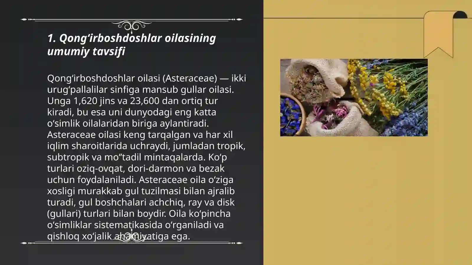 Qongʻirboshdoshlar oilasi oʻzga xos belgilari va klassifikatsiyasi 3