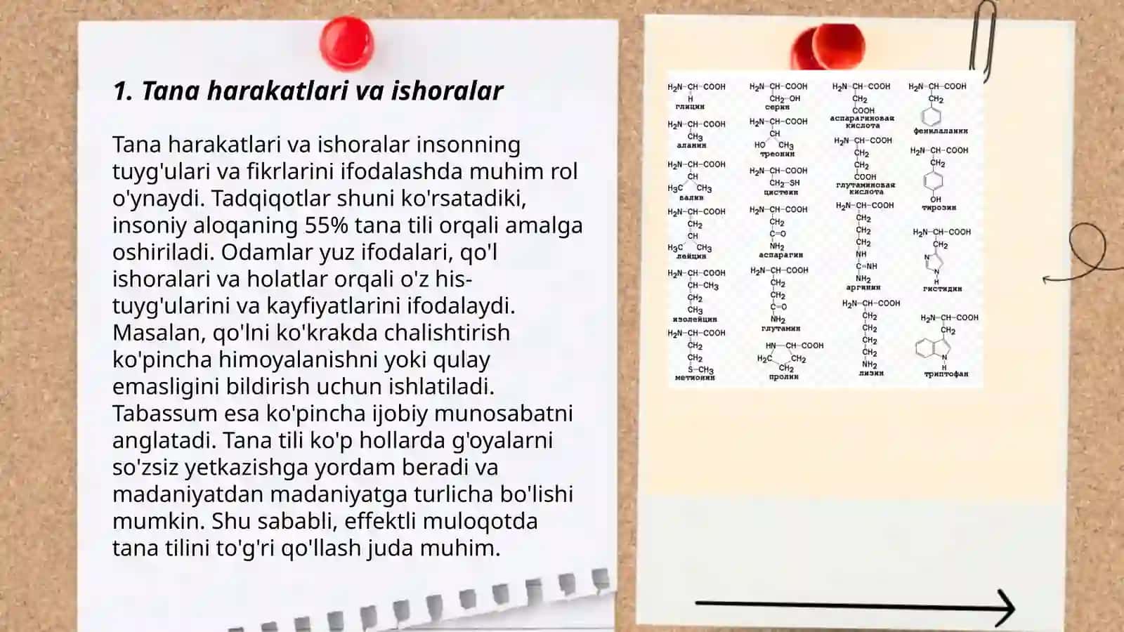 Auditoriya diqqatini jalb etish va nutq ta'sirchanligini oshirishning nolisoniy vositalari 3