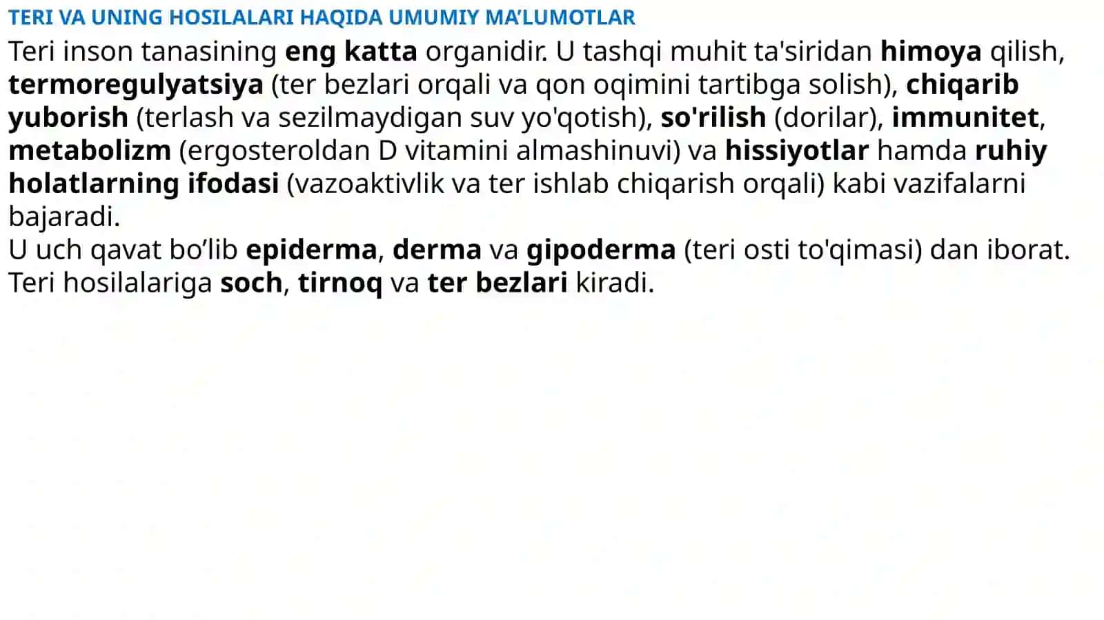 TERI ANATOMIYASI 3