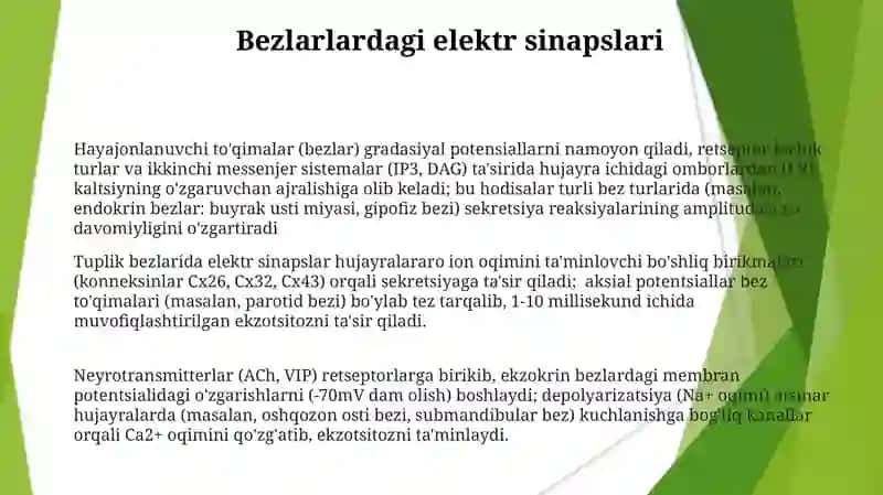 Qoʻzgʻaluvchan toʻqima(bezlarda) bioelektrik hodisalar 3