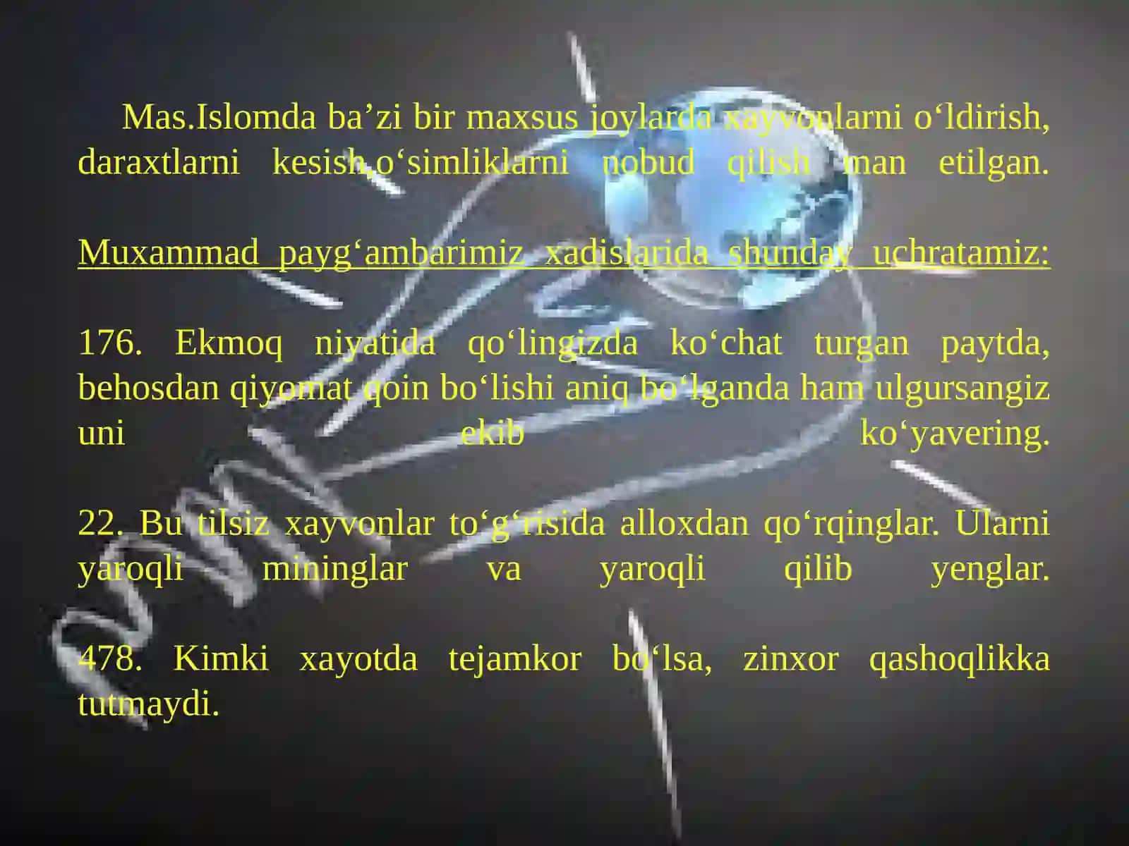 Hadislar va Ekologiya 3