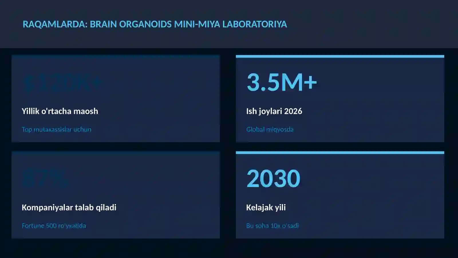 Brain organoids mini-miya laboratoriya 3