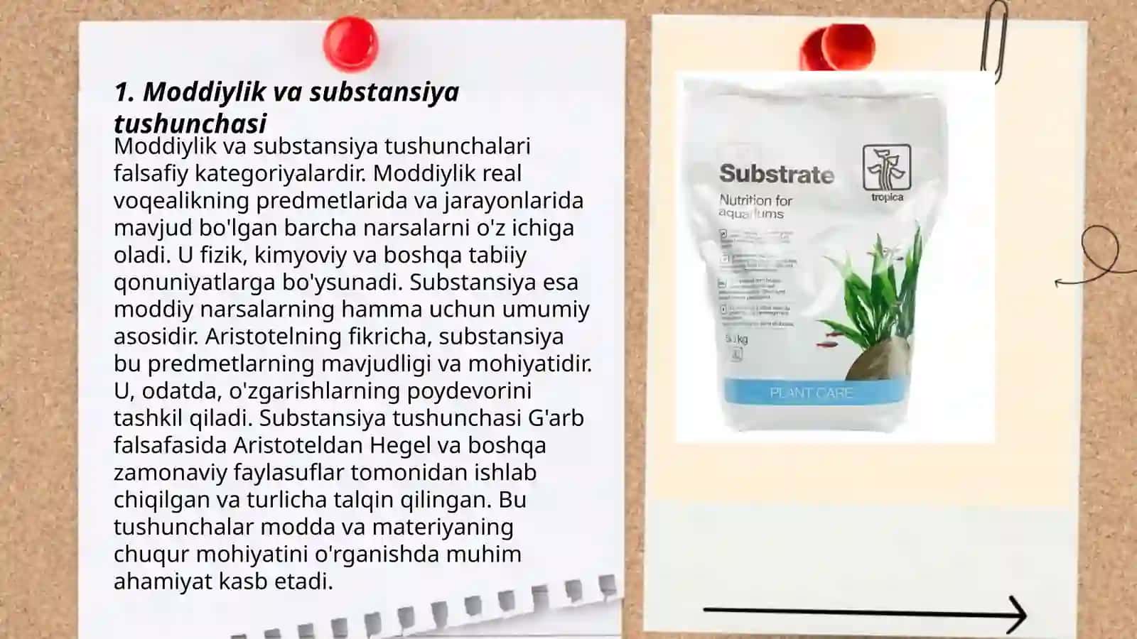 Substansiya va substrat. Materiya tushunchasi 3
