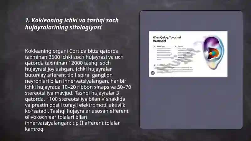 Eshitishning sitologik mexanizmlari. Vibratsiyaning eshitish va muvozanat organlari tuzilishiga taʼsiri Normatov Ibrat 3