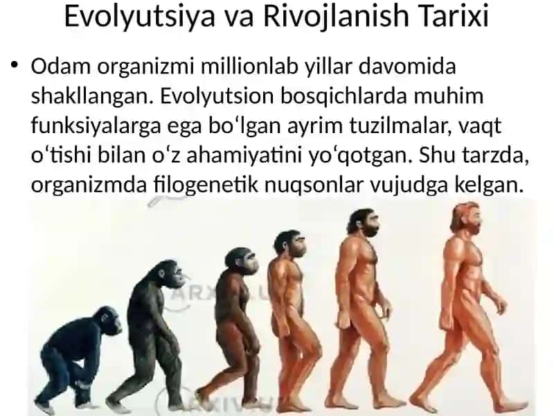 Filogenez va Ontogenez 3