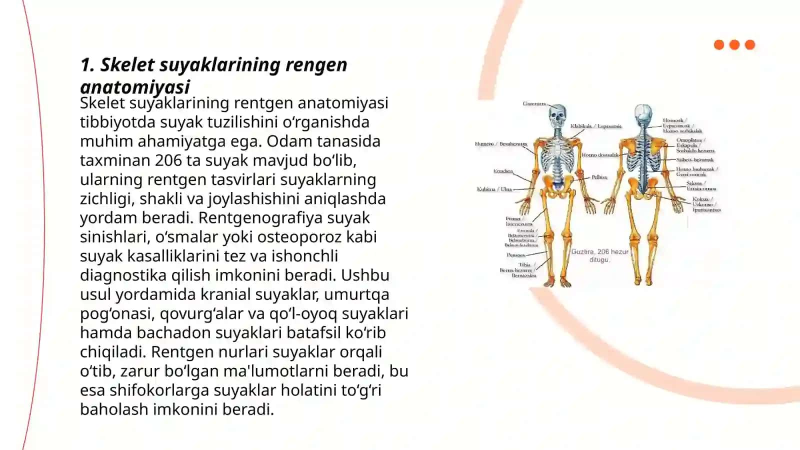 Skelet suyaklarining rentgenanatomiyasi. Skeletning rivojlanishanomaliyalari 3