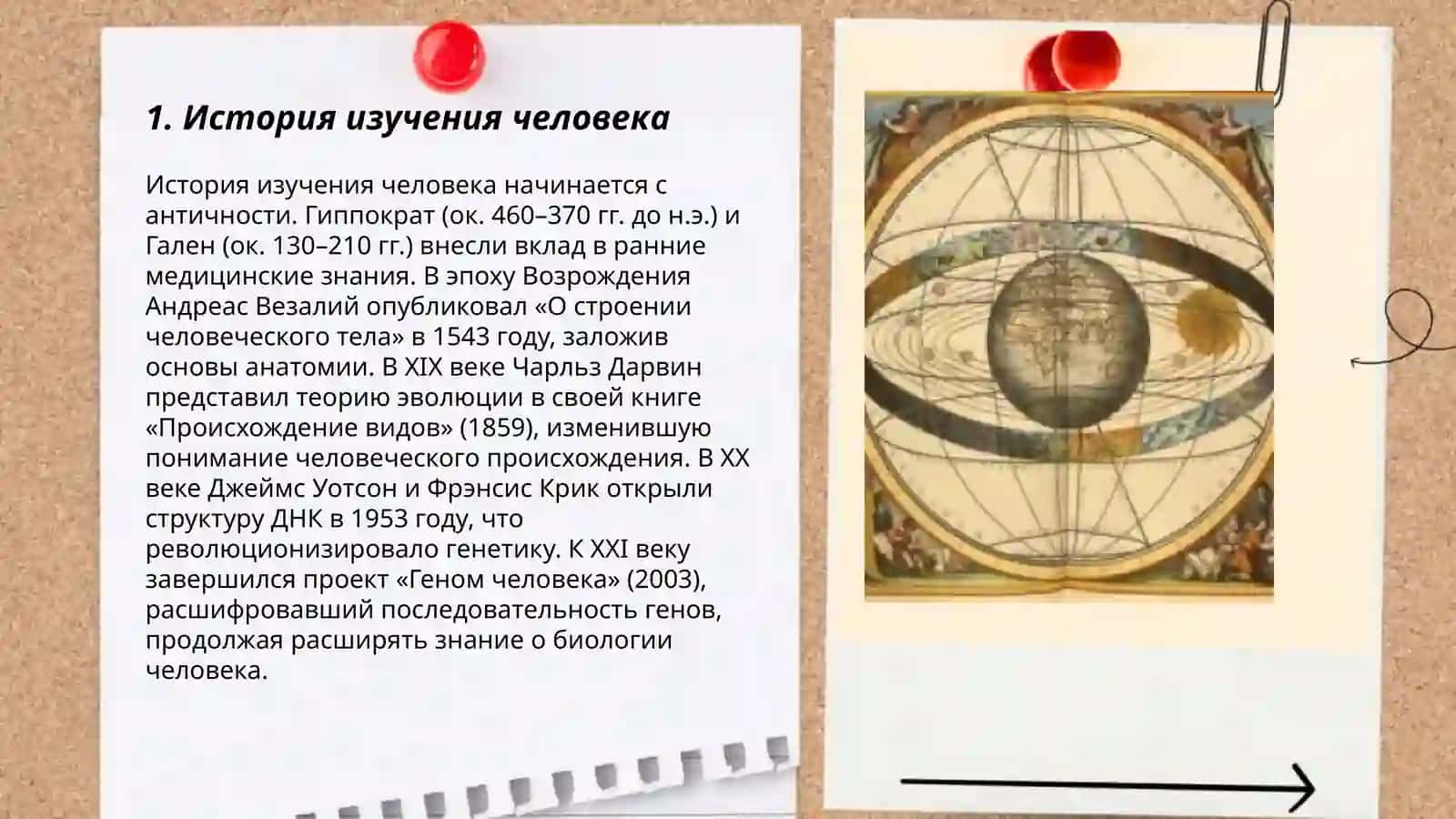 Человек как предмет познания (по книге Б.Г. Ананьева) 3