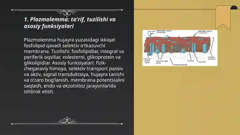 Plazmolemma va biologik membranalar tuzilishi.Hujayralararo bogʻlanish turlari 3