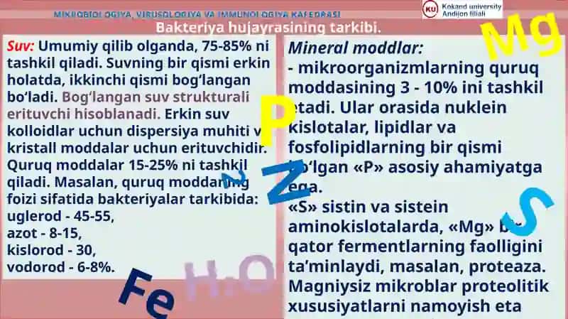 Mikrobiologiya, virusologiya va immunologiya kafedrasi 3