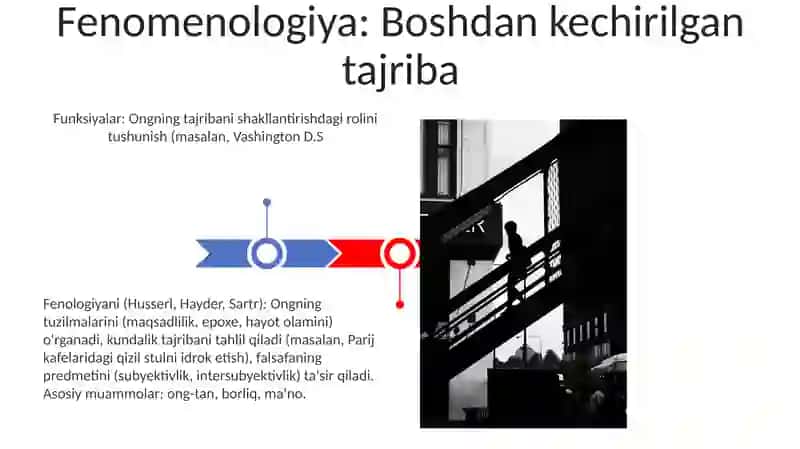 Fenomenologiya 3