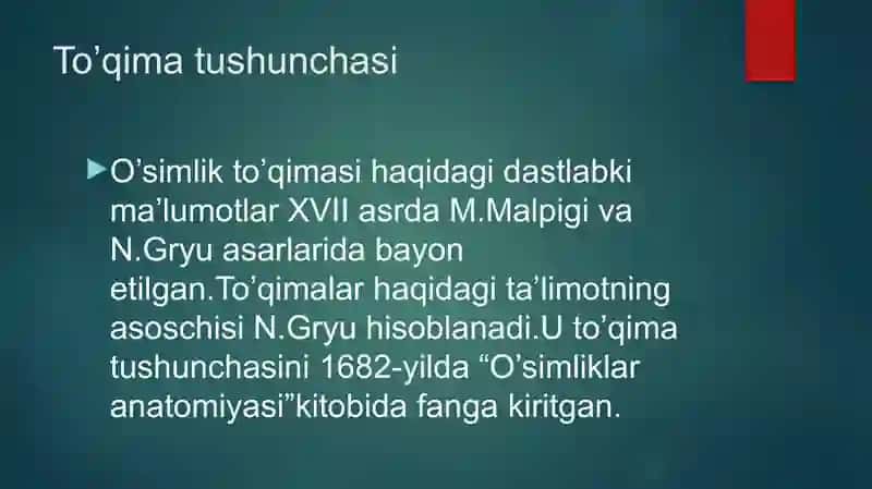 Qoplovchi toʻqima 3