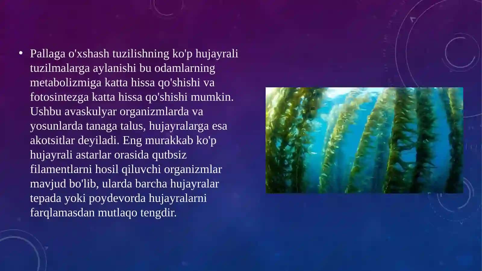O’simliklar evolyusiyasining asosiy bosqichlari3-22-Abdumalikova Dinora 3