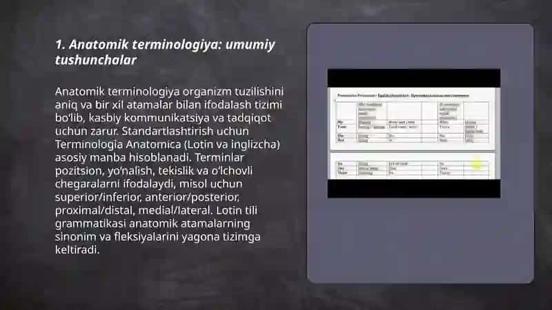 Anatomik terminologiya. Lotin tili grammatikasi 3