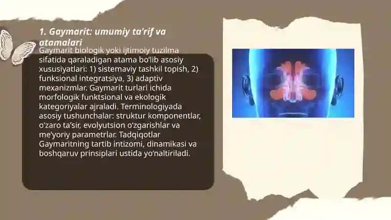 Gaymarit 3