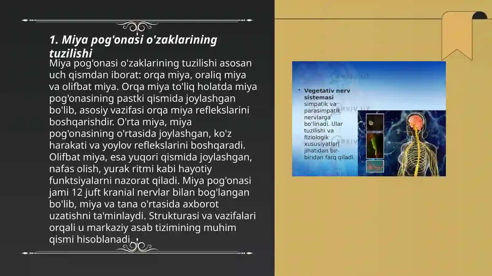 MIYA POG'ONASI O'ZAKLARI VA ULARNING AHAMIYATI 3