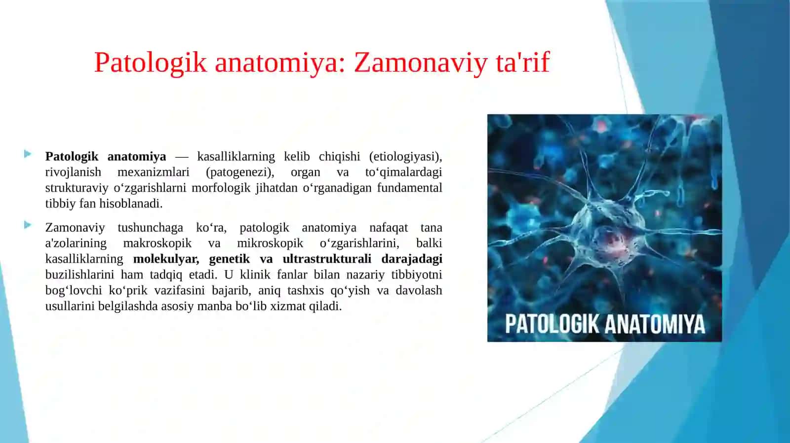 O‘quv-ilmiy adabiyotlar asosida Patologik anatomiya haqida zamonaviy tarif berish xalqaro tasniflash. 3