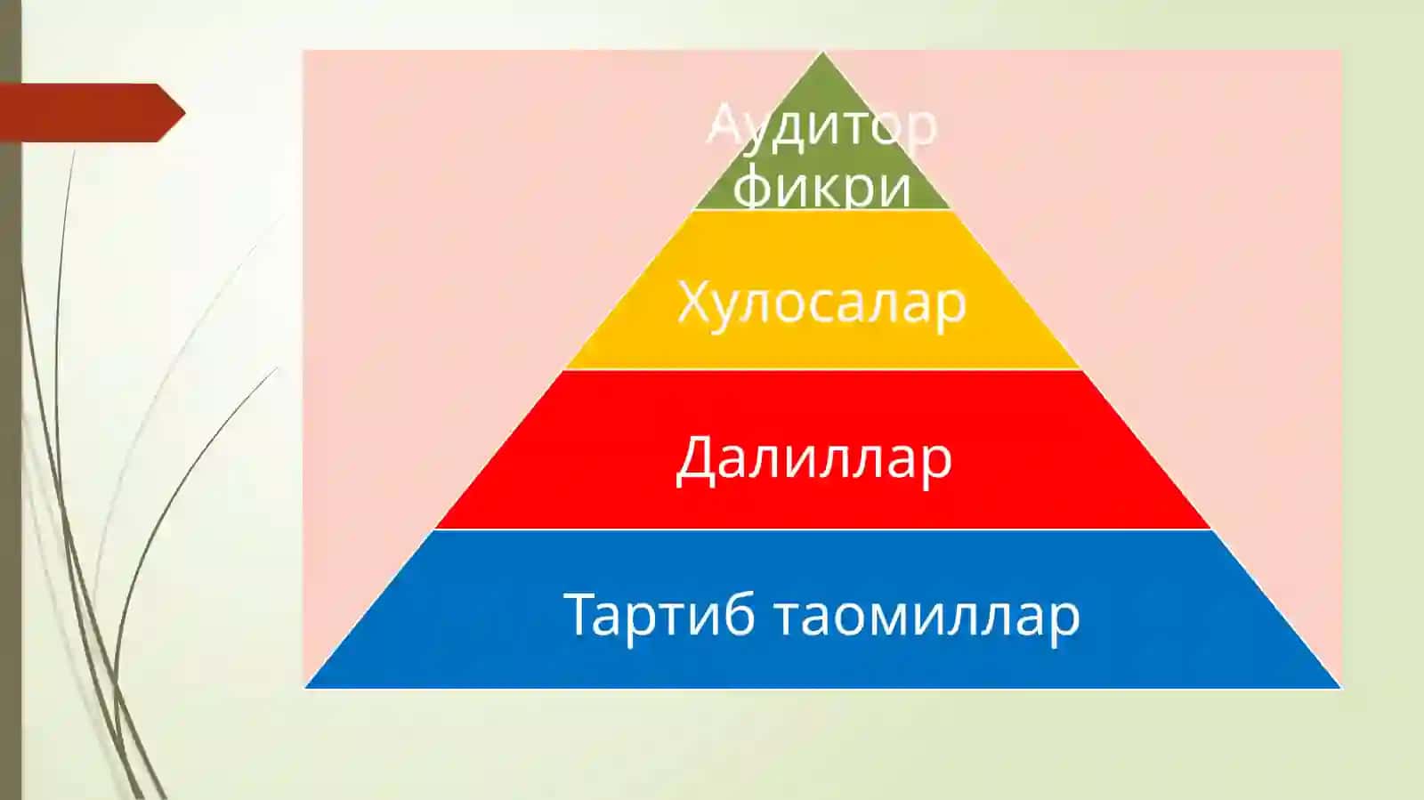 Аудиторликдалиллари 3