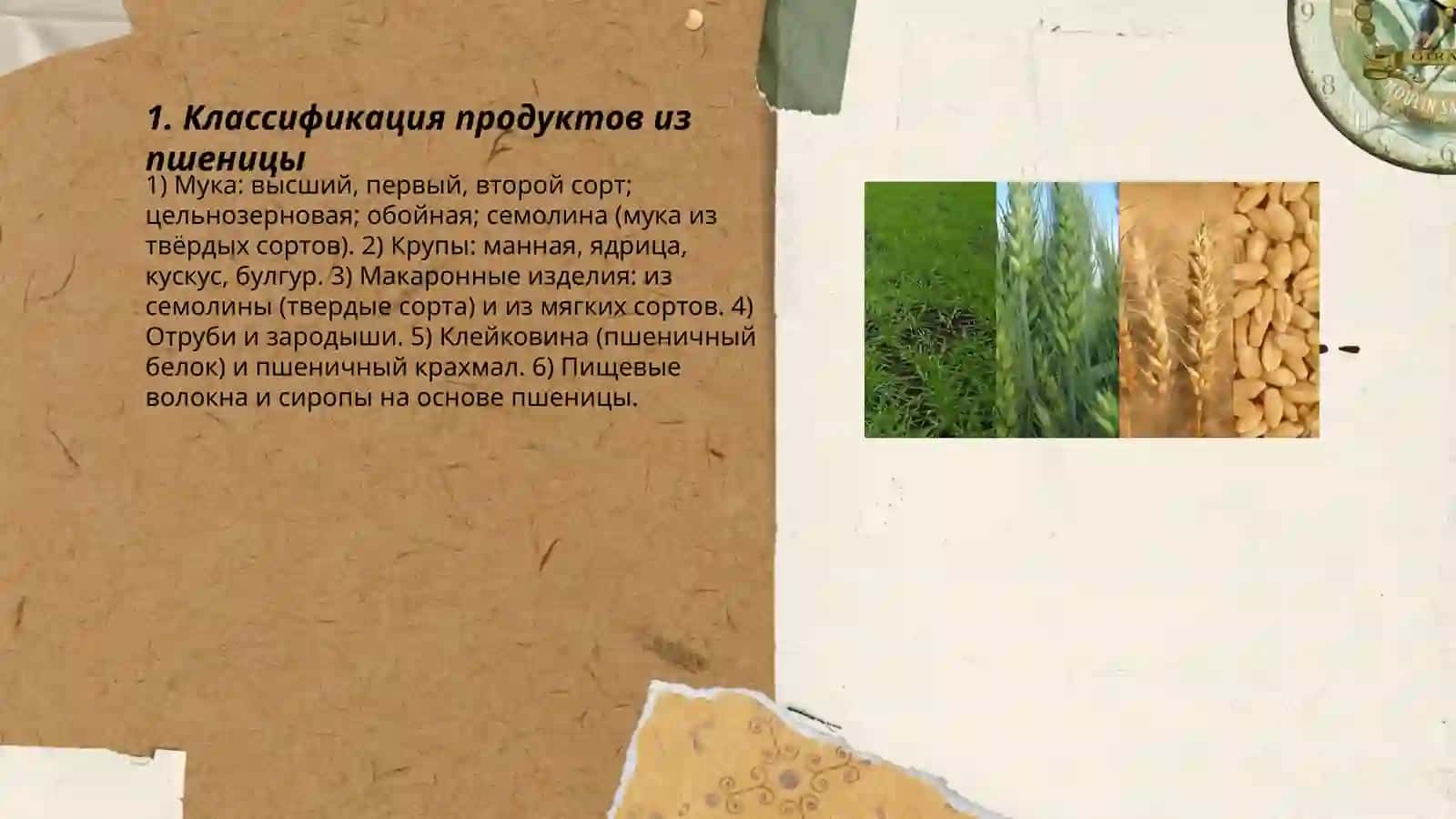 Продукты из пшеницы: Основные виды и их химические свойства 3