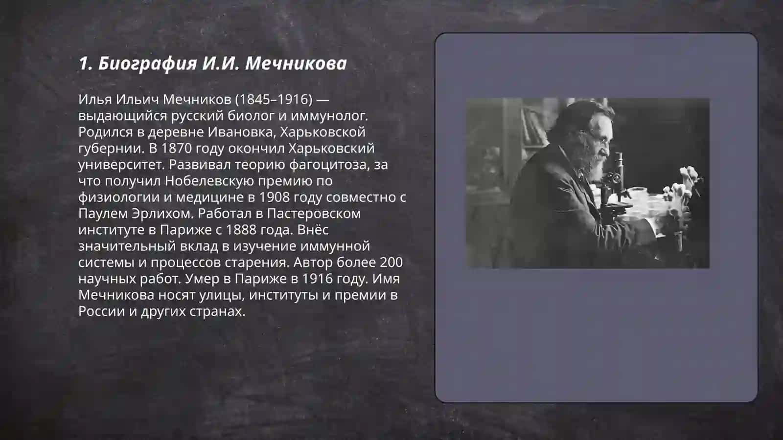 Биография И.И. Мечникова 3