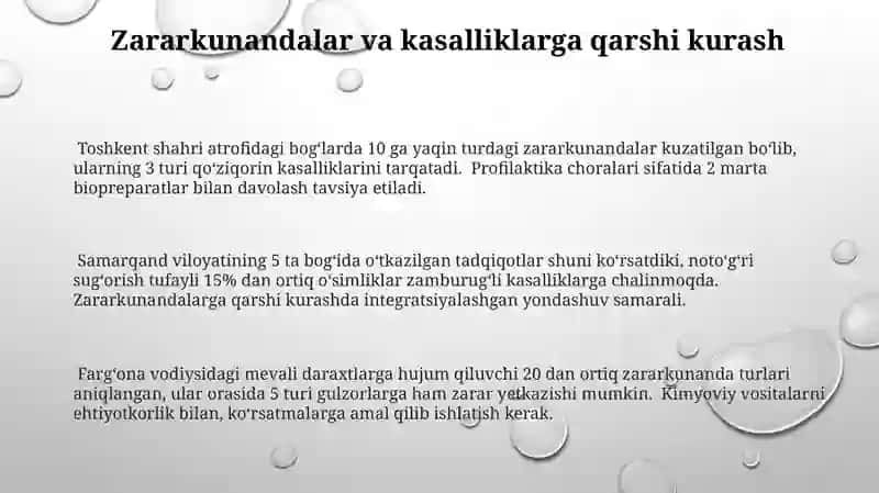 Bogʻ-parklarda maysazorlar va gulzorlar yaratish sxemasi 3