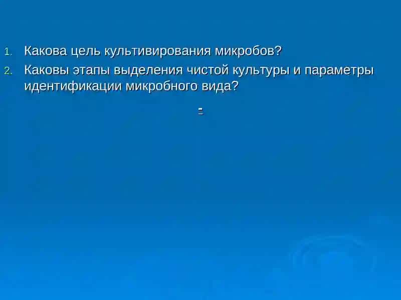 Физиология микроорганизмов (дыхание, размножение) 3