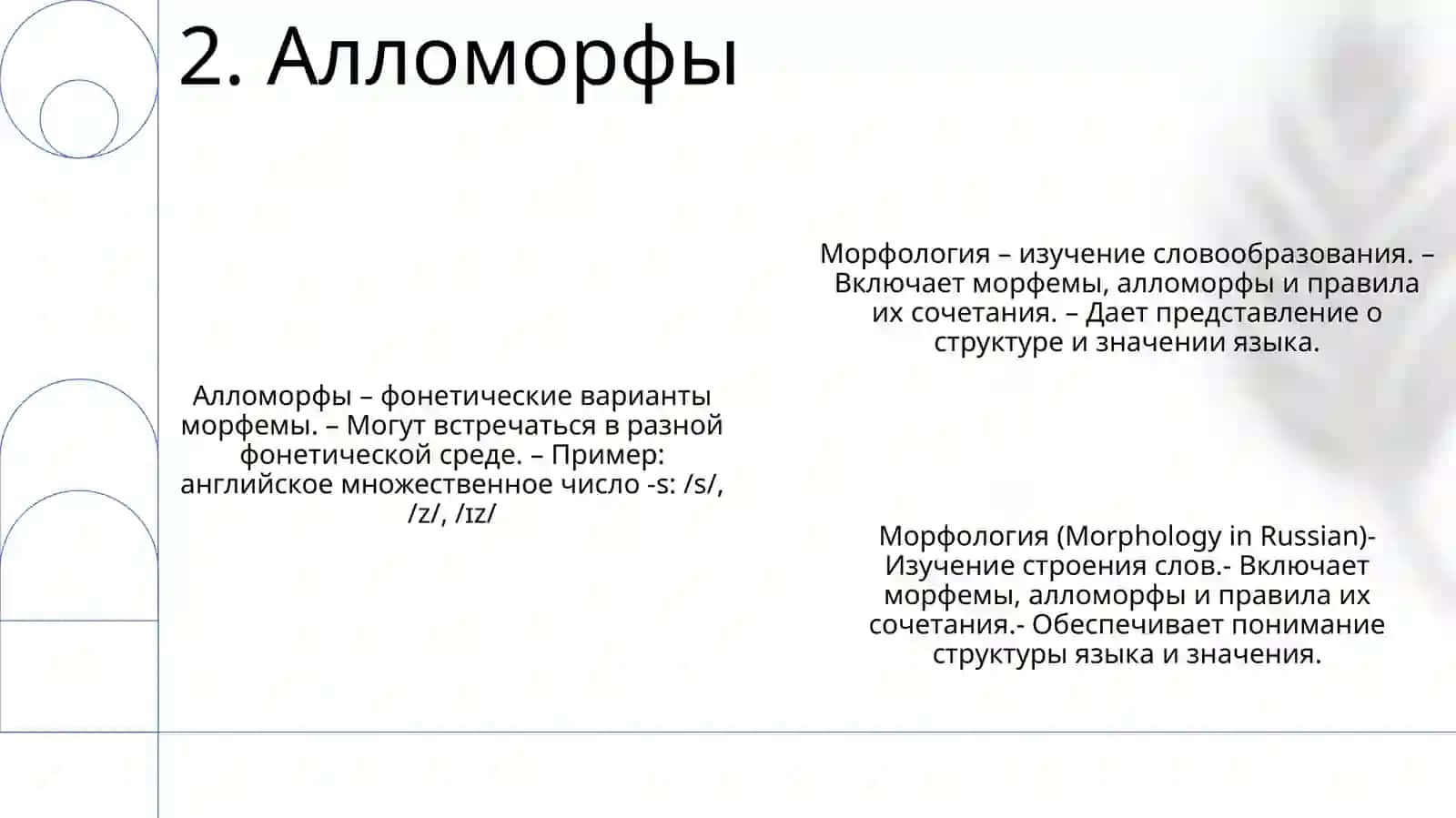 Морфология 3