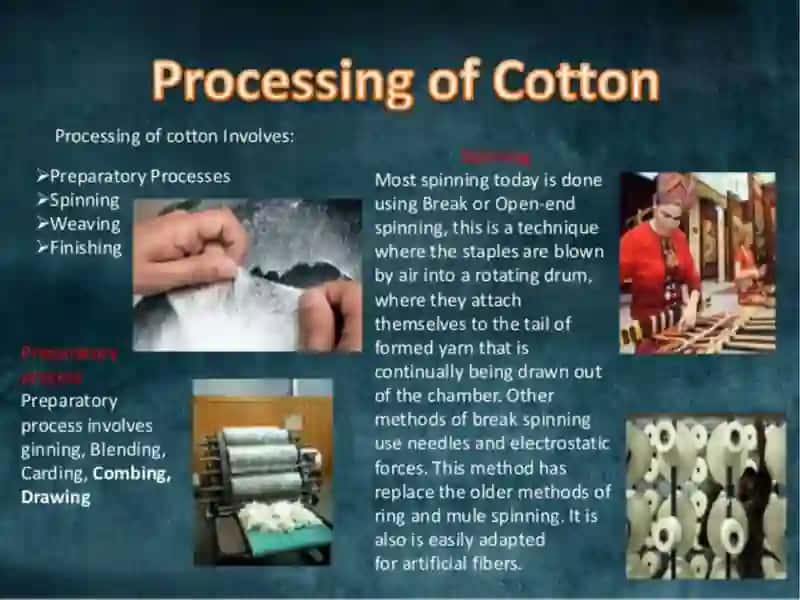 Silk and Cotton 3