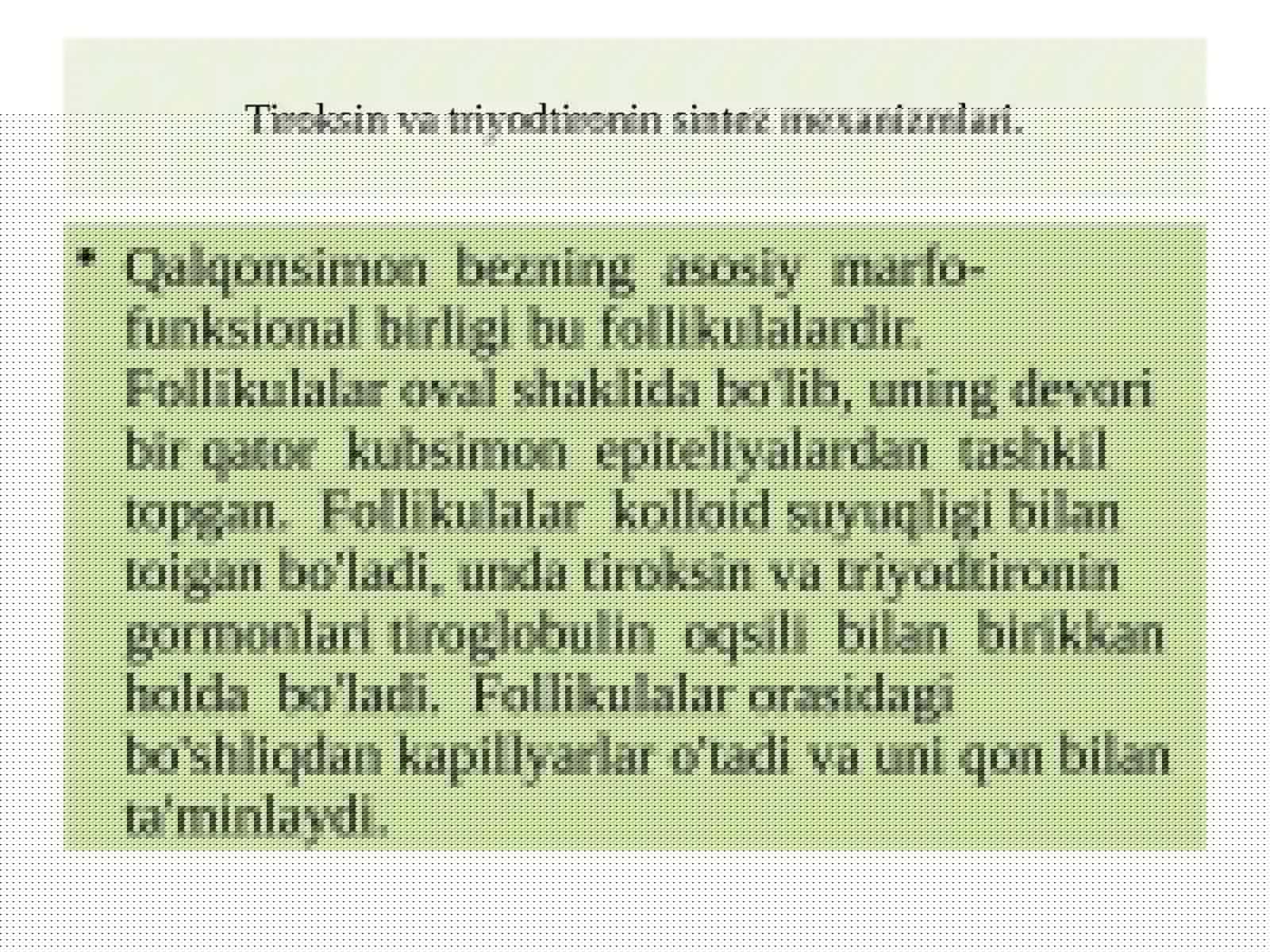 Qalqonsimonbez 3