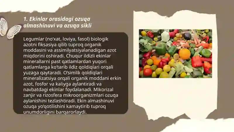 Organik dehqonchilikda yetishtiriladigan ekin turlarining bog’liqlik tomonlari 3