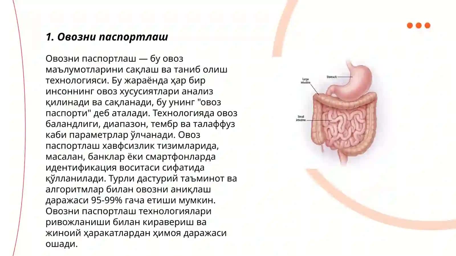 Пищевод, желудок, тонкая и толстая кишки 3