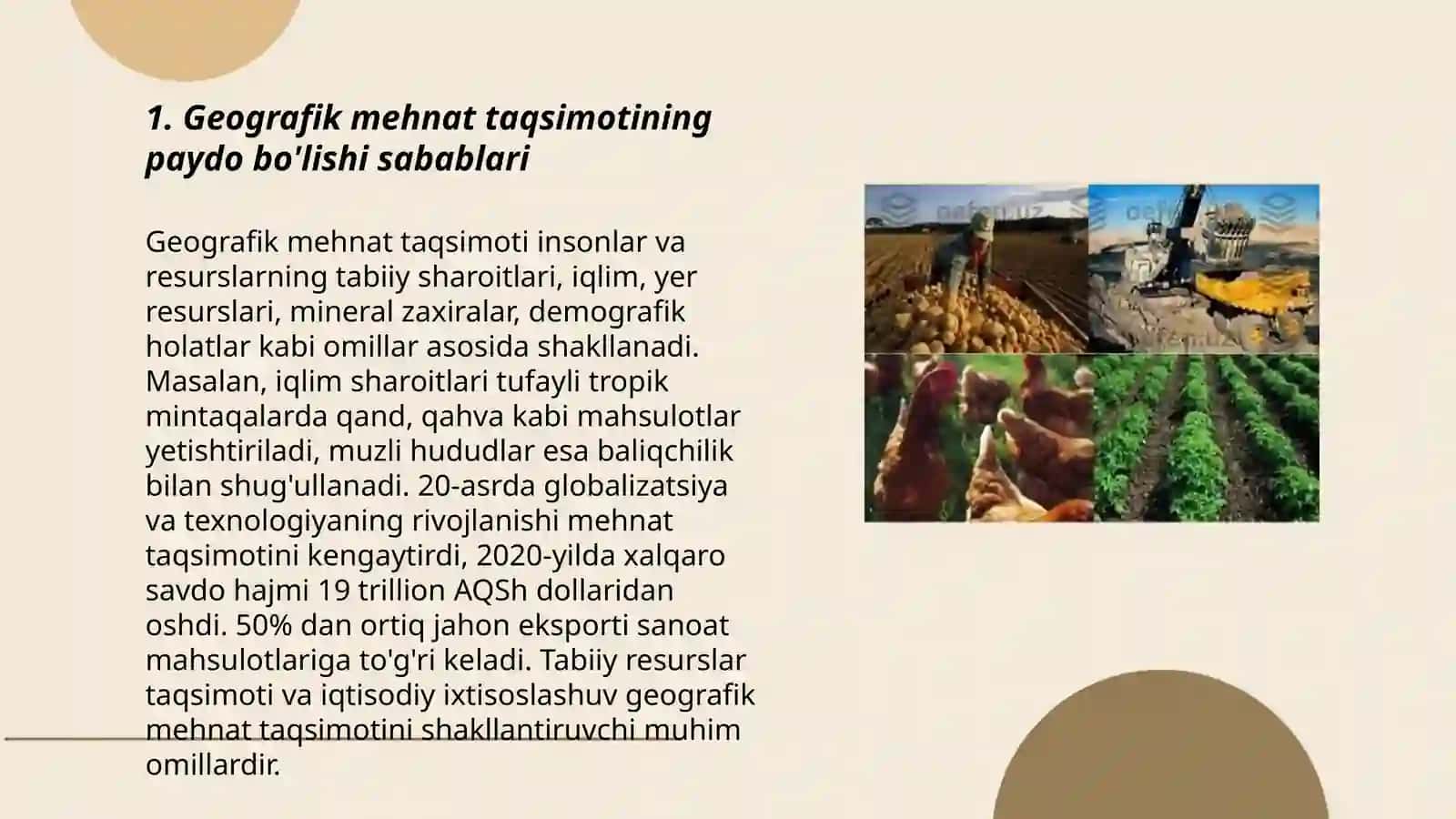 Geografik mehnat taqsimoti va jaxon xo’jaligi 3