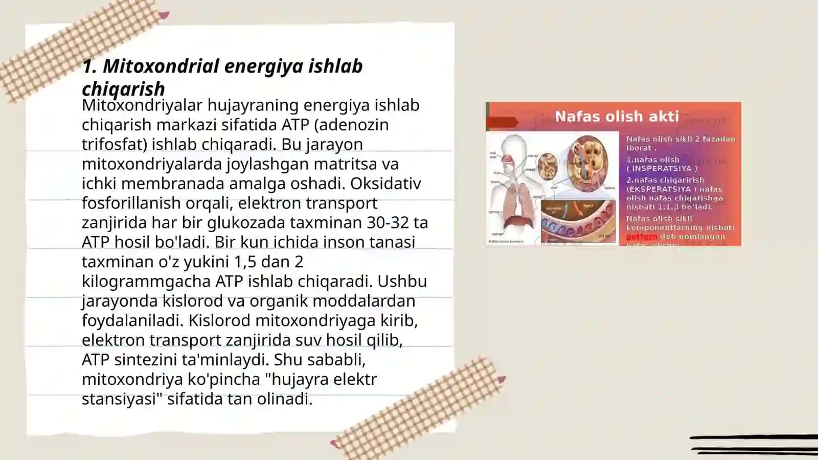 Mitoxondriyada oksidlanshlii fosforlanish jarayoni.Nafas zanjiri 3