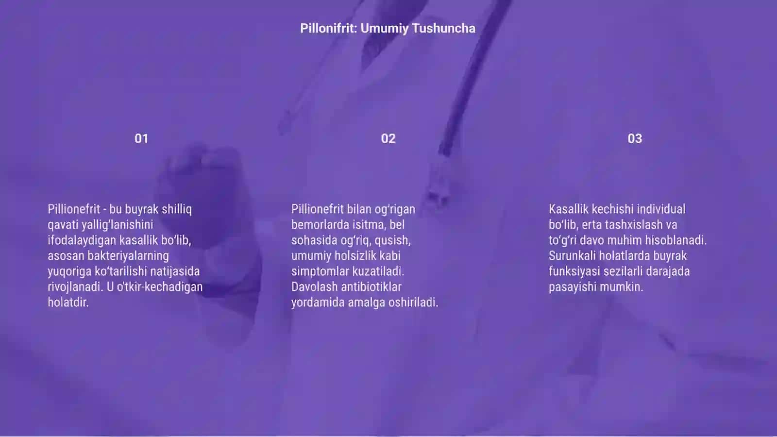 Pillionefrit 3