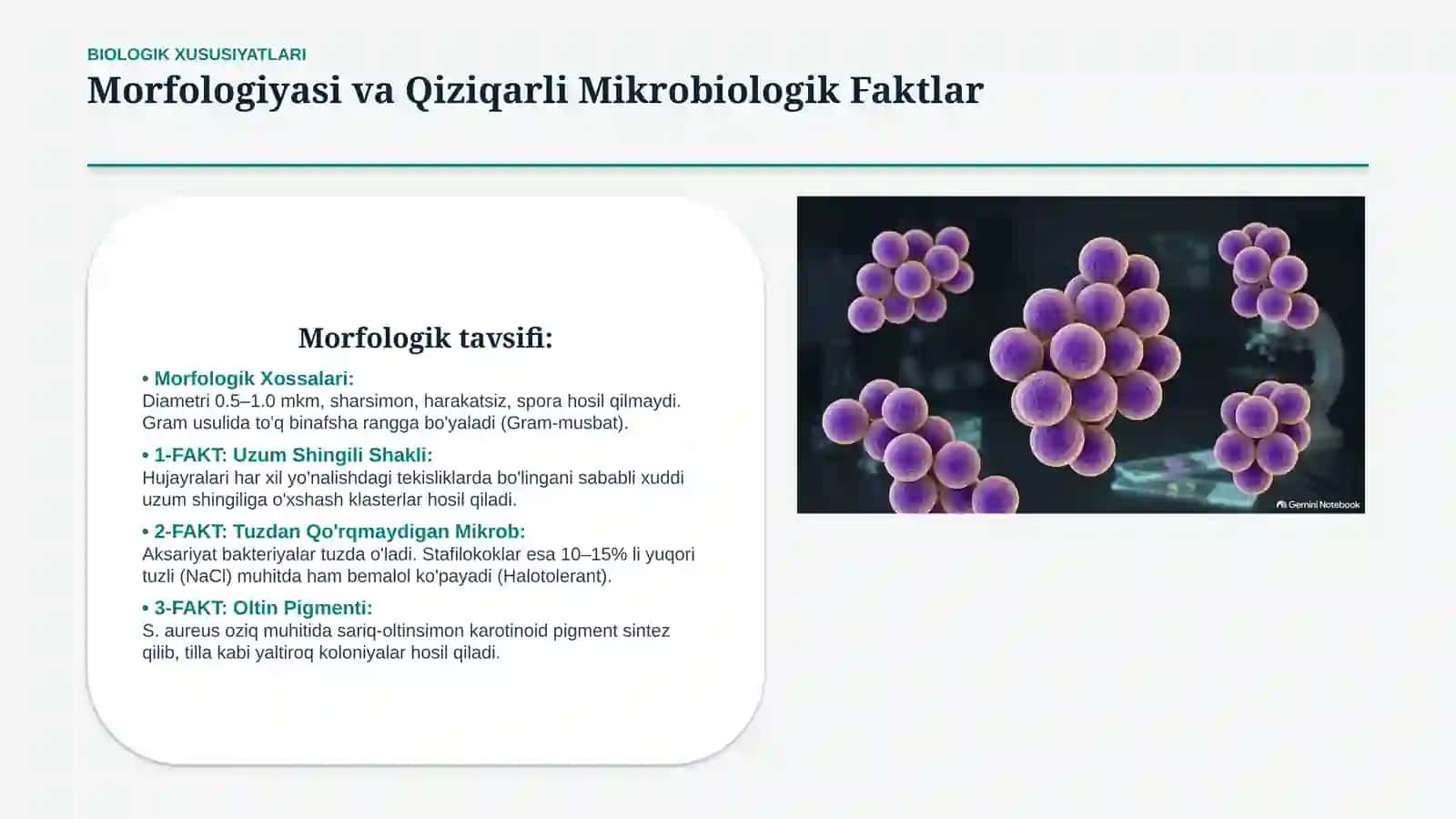 MIKROBIOLOGIYA VA LABORATORIYA DIAGNOSTIKASI 3