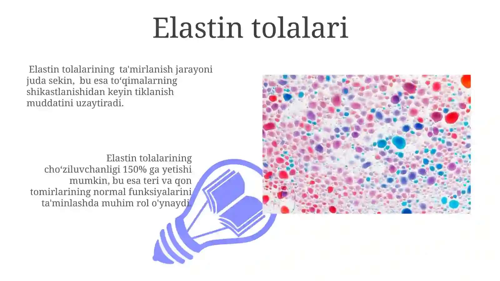 Aslbiriktiruvchitoʻqima 3