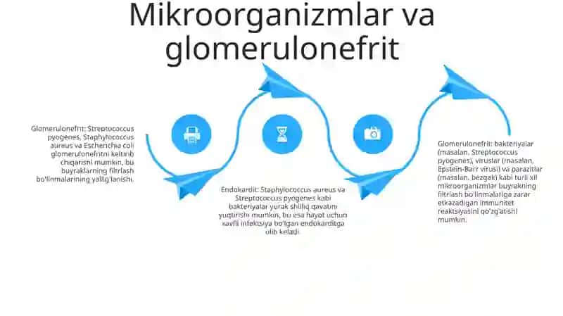 Glomerulonefrit 3