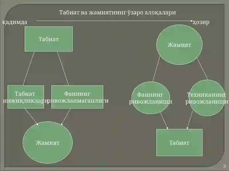 ТАБИАТ ФАЛСАФАСИ 3