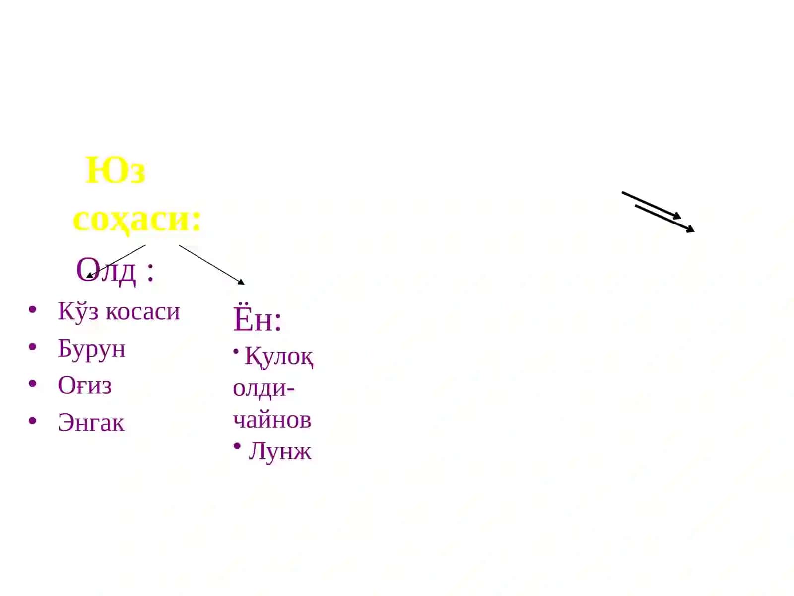 КАЛЛА ВА БОШ МИЯНИНГ ЖАРРОҲЛИК АНАТОМИЯСИ 3