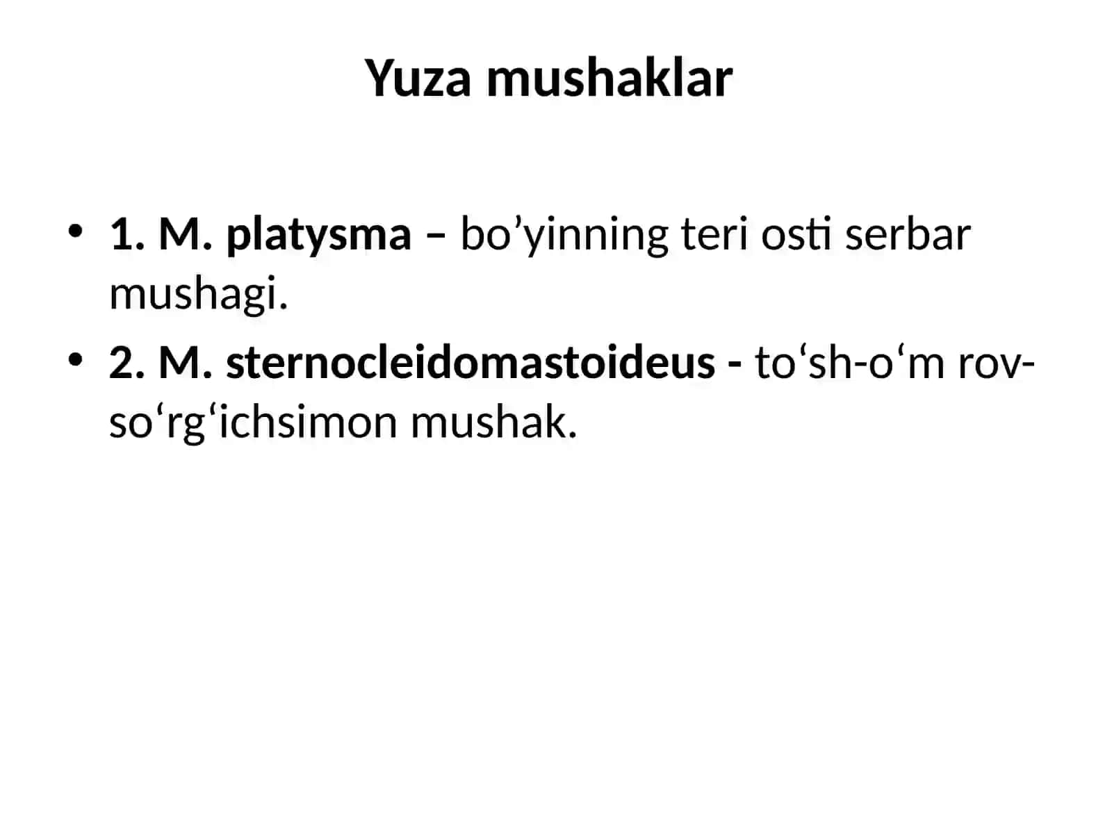 Bo‘yinmushaklari 3