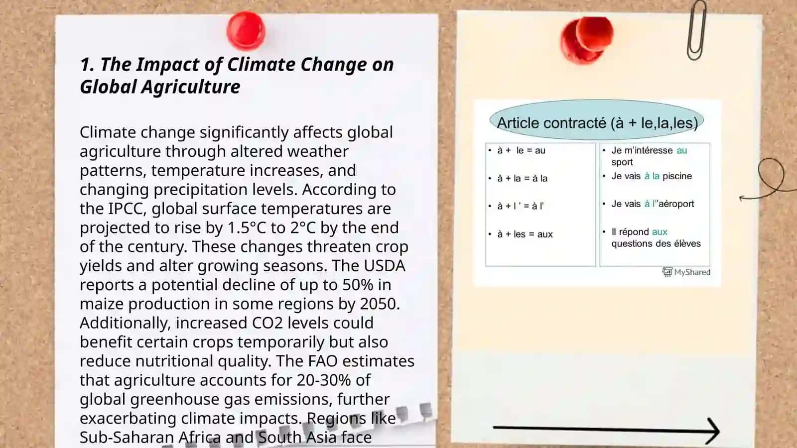 The Impact of Climate Change on Global Agriculture 3