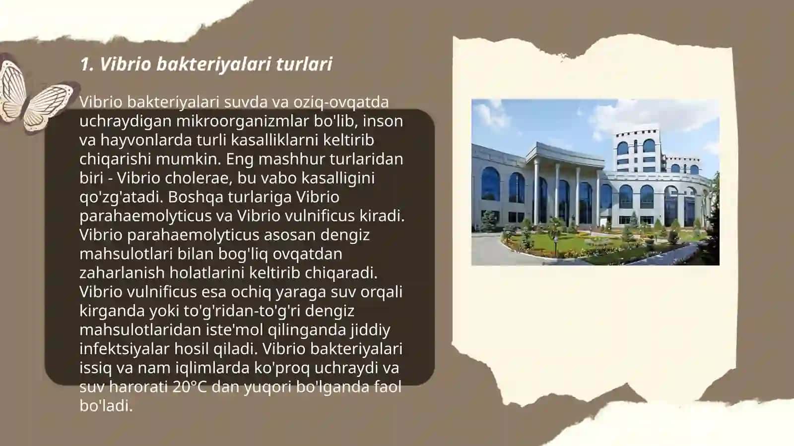 Vibrionea oilasi, Bakteroidlar oilasi |bacteroides fragilis, fusobacterium, bacteroides melaninogenicus 3