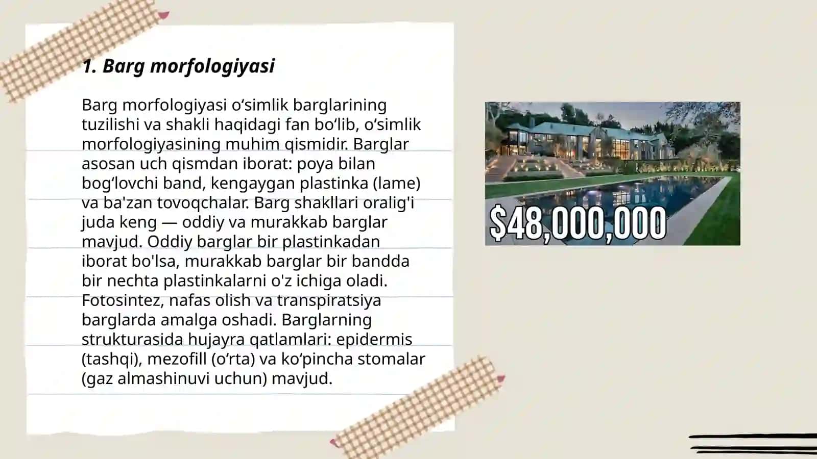 Oʻsimliklar morfologiyasini oʻrganish 3