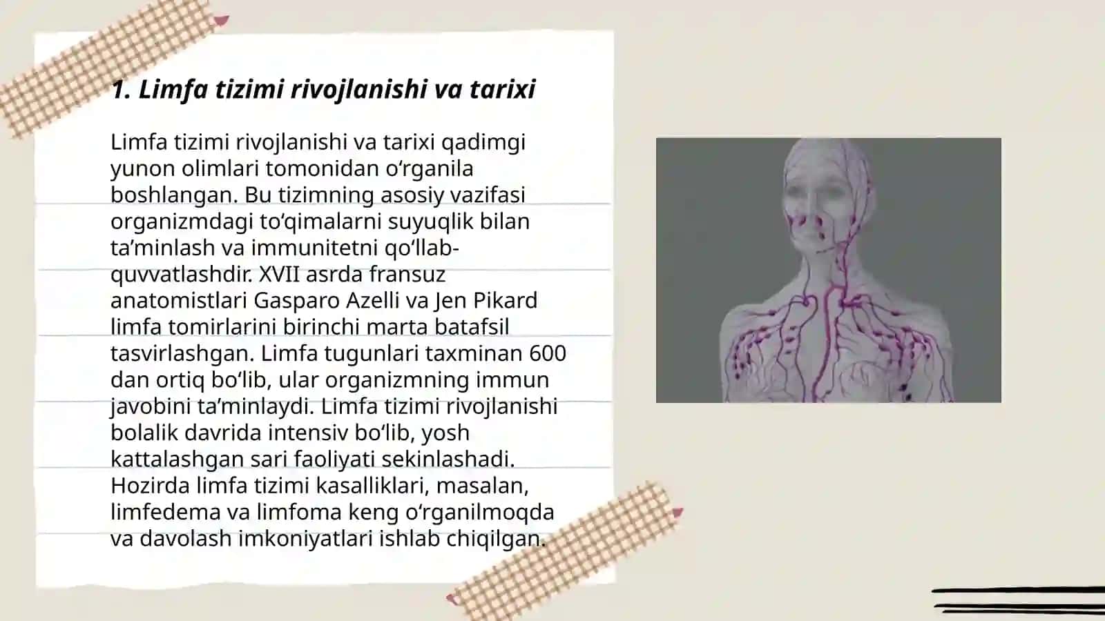 Limfa tizimi filo-ontogenezi,anomaliyalari 3