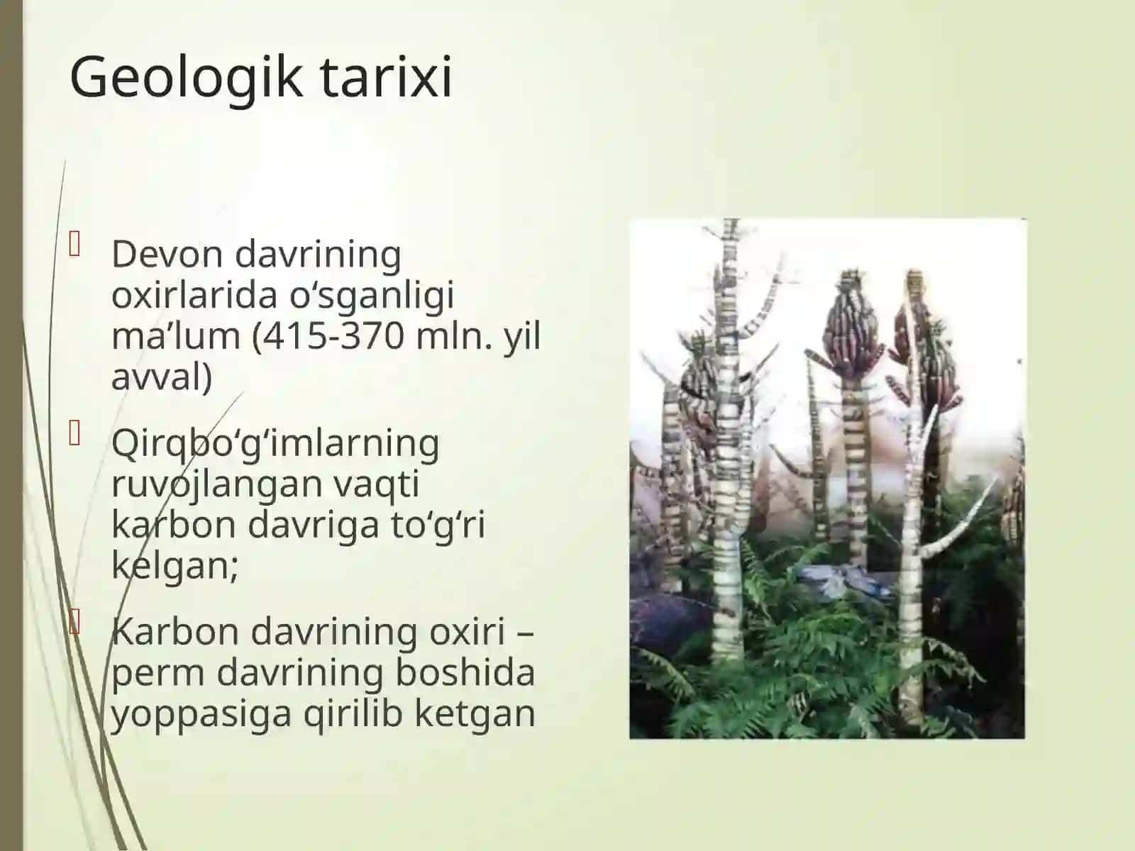 Qiqbo‘g‘imlarbo‘limi 3