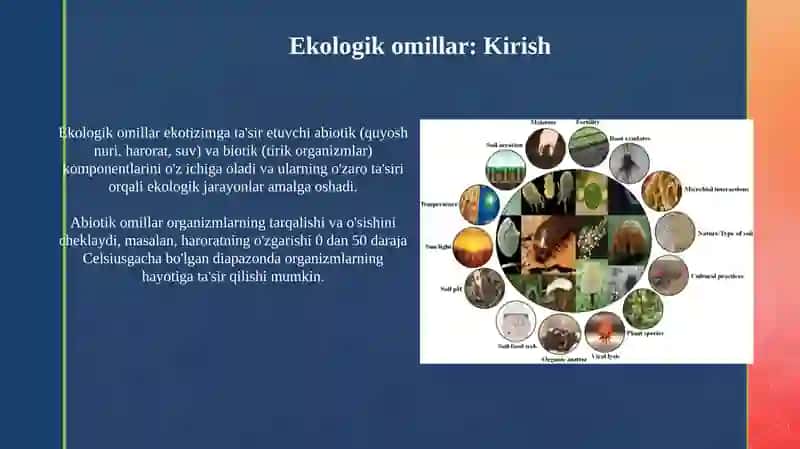 Ekologik omillar.Biotik aloqa turlari 3