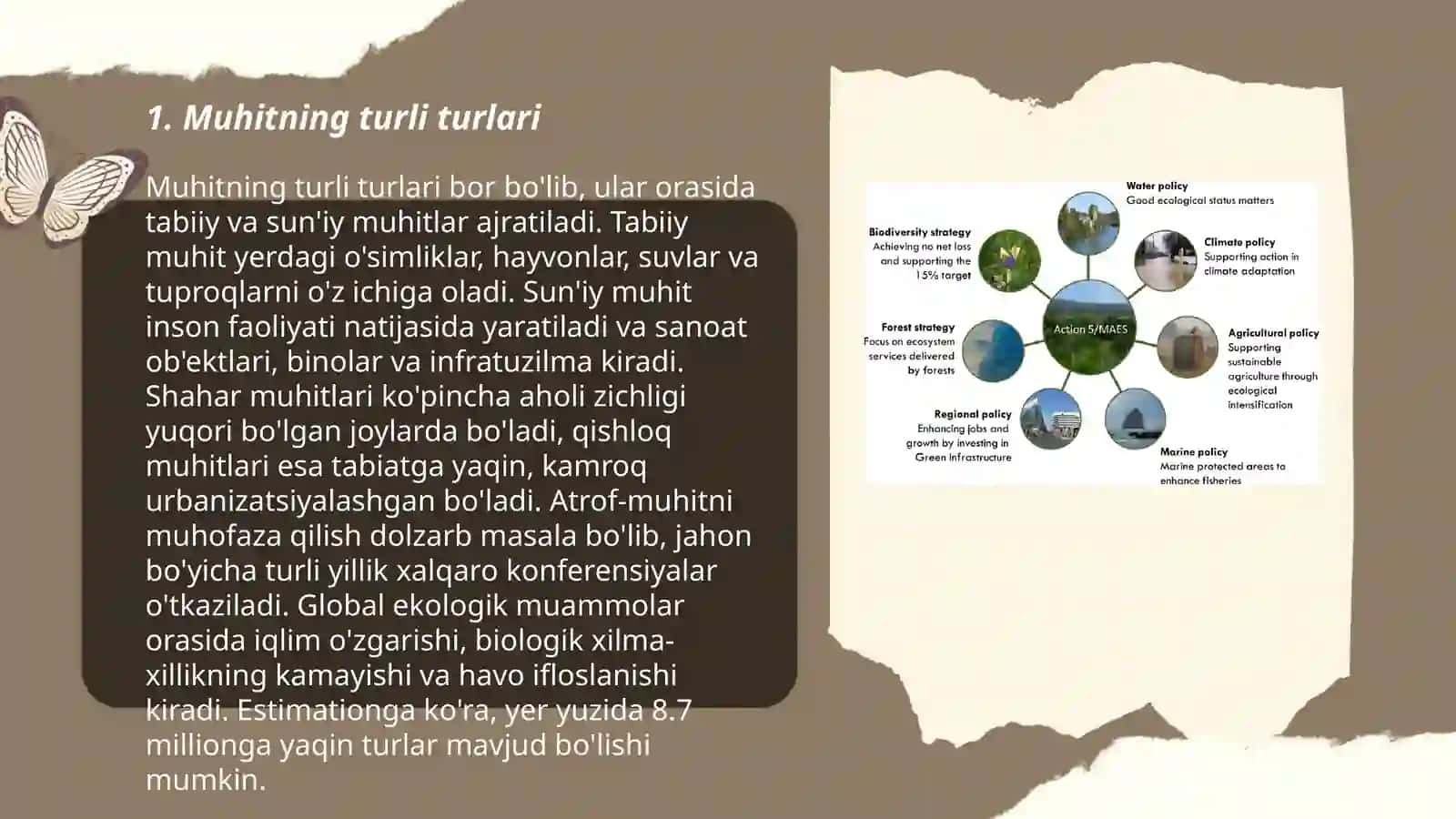 Muhit va ekologik omillar 3