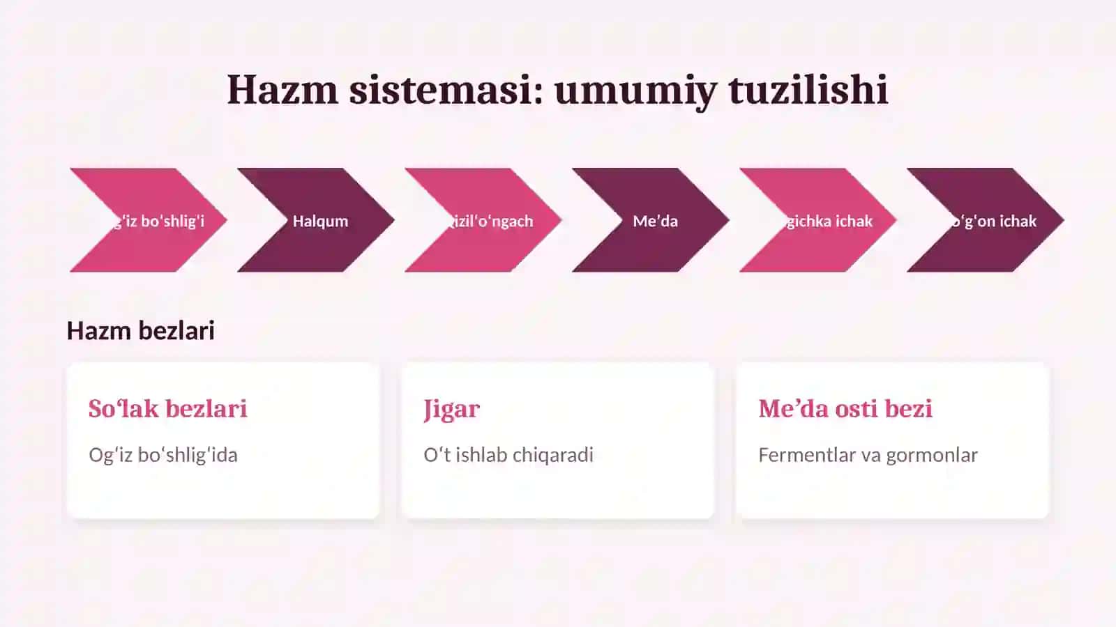 Ovqat hazm qilish sistemasi. Meʼda osti bezi va jigar (gistologiya) 3