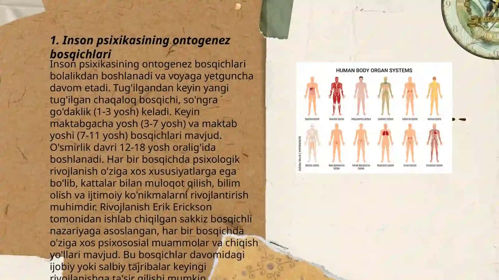 Inson psixikasini ontogenezda rivojlanishi 3