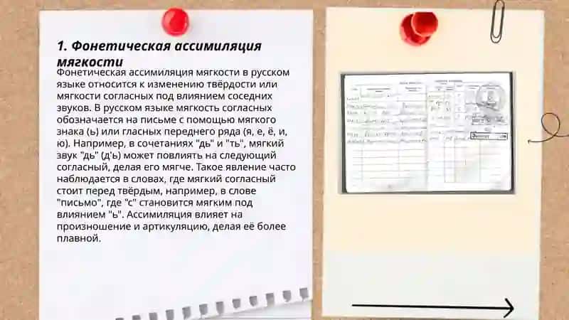 Фонетическая ассимиляция мягкости 3
