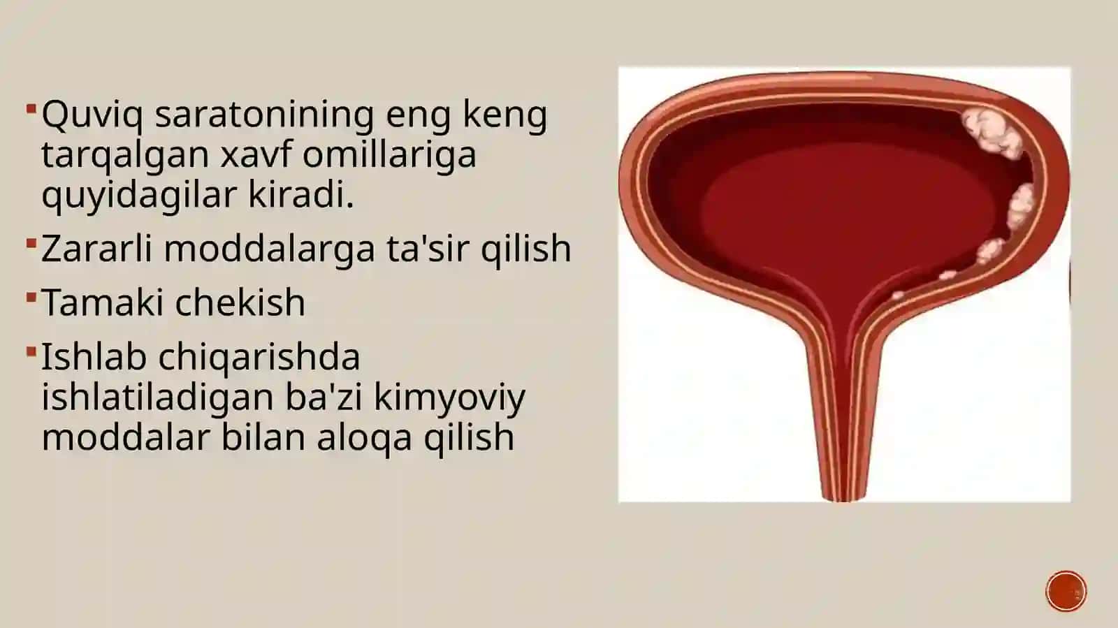 Qovuq raki haqida umumiy ma’lumot 3